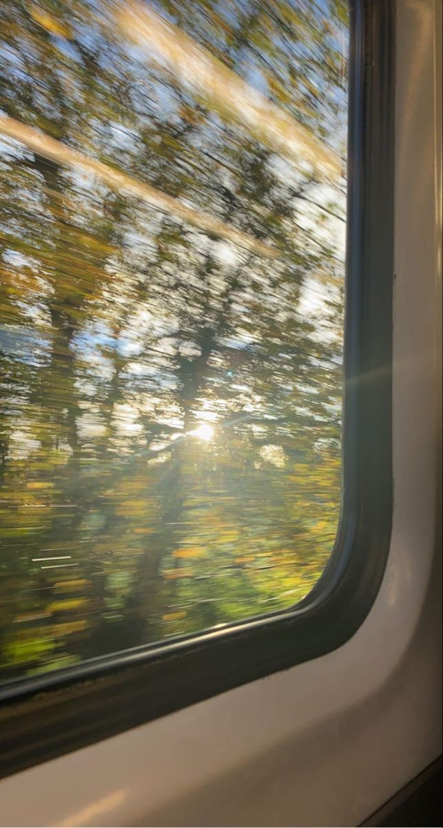 he just really, really loves being with her. that's it, plain and simple.

early morning bus rides for late afternoon sunsets 🌄
— a #mingyu x oc oneshot