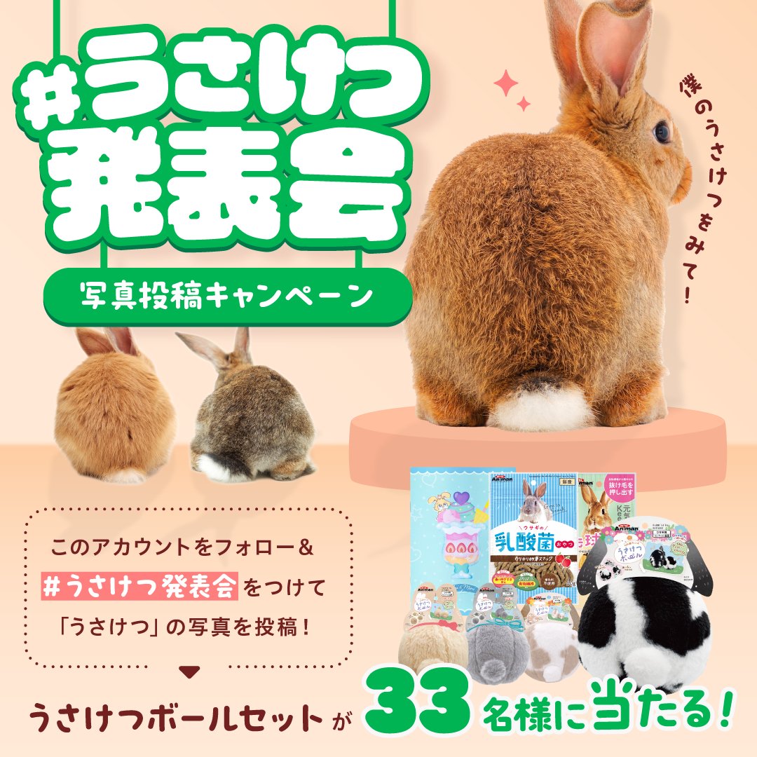 うさぎ様確認ページ うさけつボールが当たる🐰 #うさけつ発表会 写真投稿キャンペーン