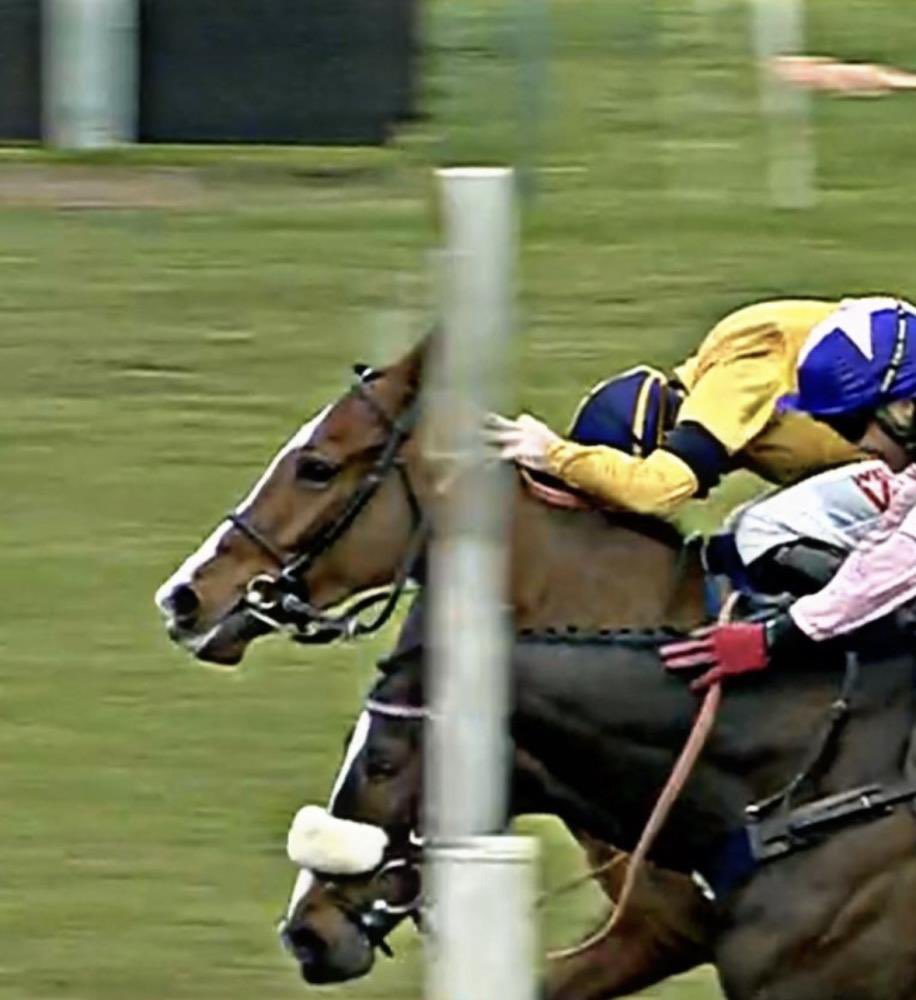 Kim Bailey & Mat Nicholls Racing Syndicates (@thorndalefarm) on Twitter photo That was close. Reallyntruthfully just beaten <a href="/HerefordRaces/">Hereford Racecourse</a> . Frustrating for one of our in-house KBRS syndicates… That was close. Reallyntruthfully just beaten <a href="/HerefordRaces/">Hereford Racecourse</a> . Frustrating for one of our in-house KBRS syndicates…