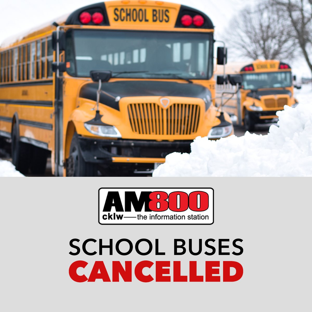 #BREAKING: School buses in both the City and County have been cancelled for the day. #yqg 

<a href="/megdroberts/">Meg Roberts</a> <a href="/mikemeg800/">Mornings w/ Mike & Meg</a> <a href="/AM800CKLW/">AM800 CKLW</a>