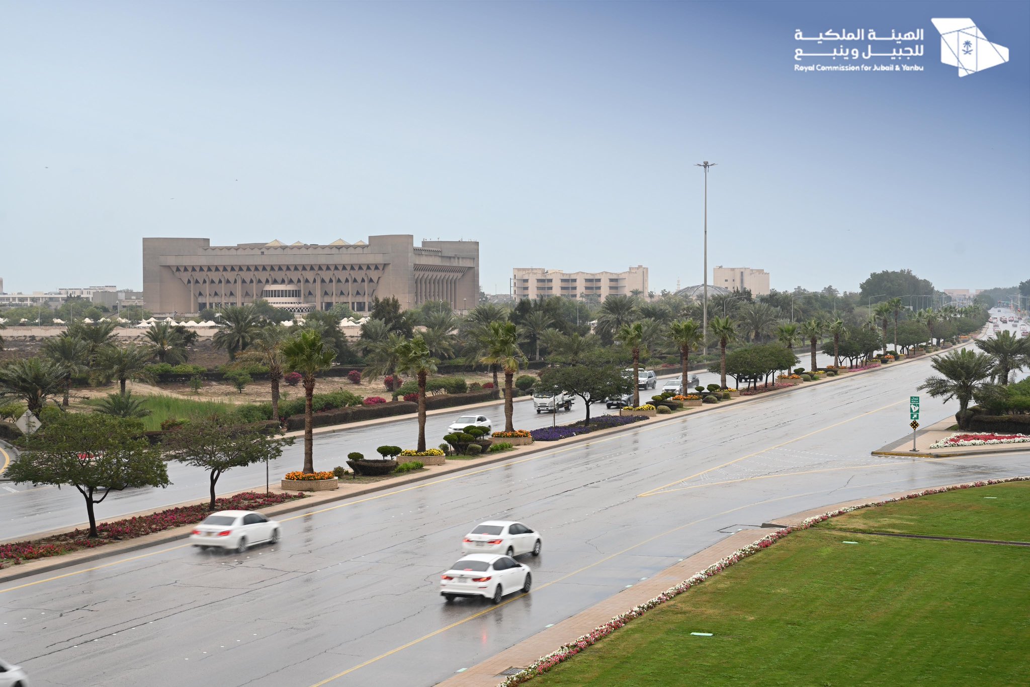 الصورة