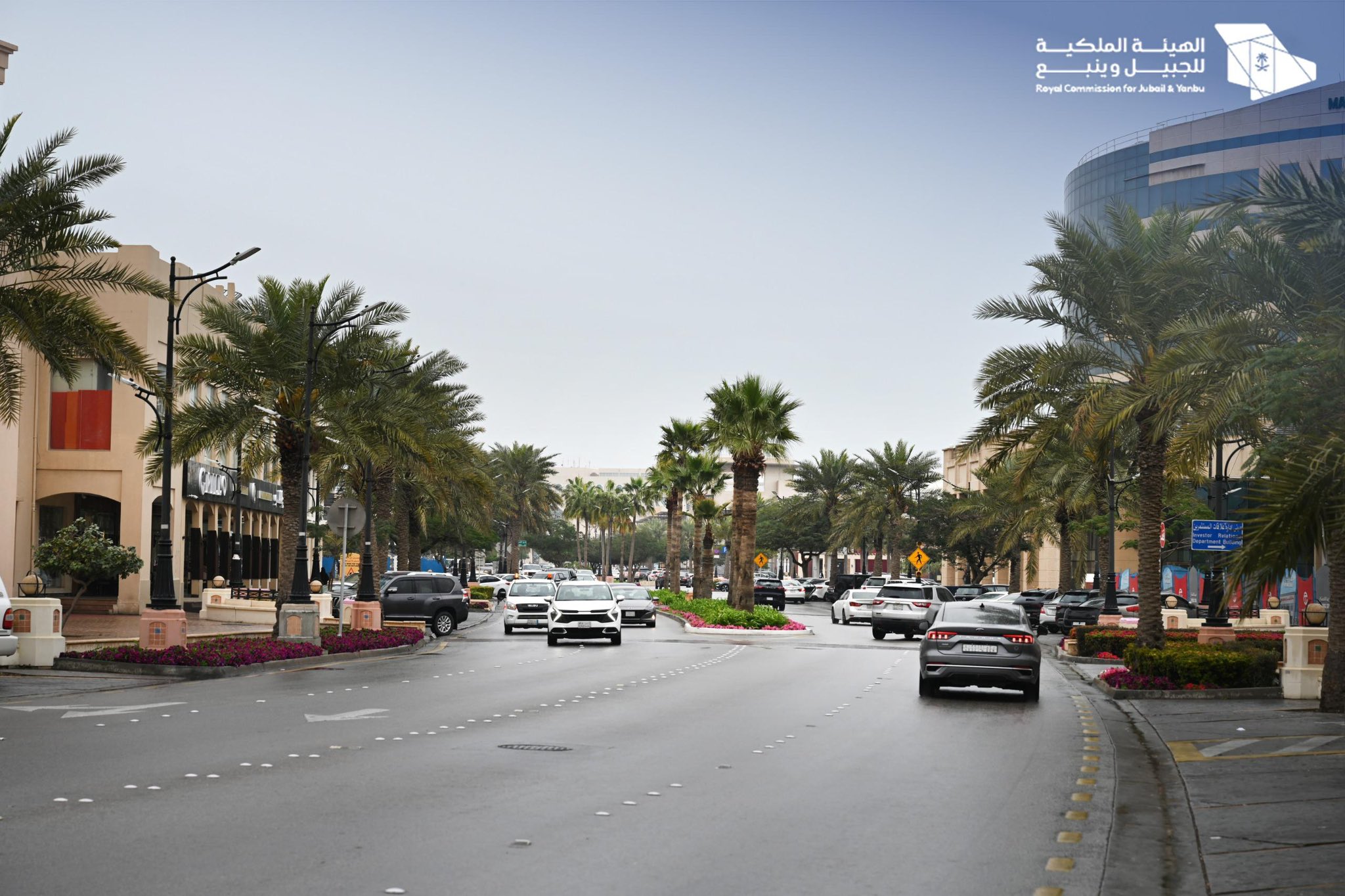 الصورة