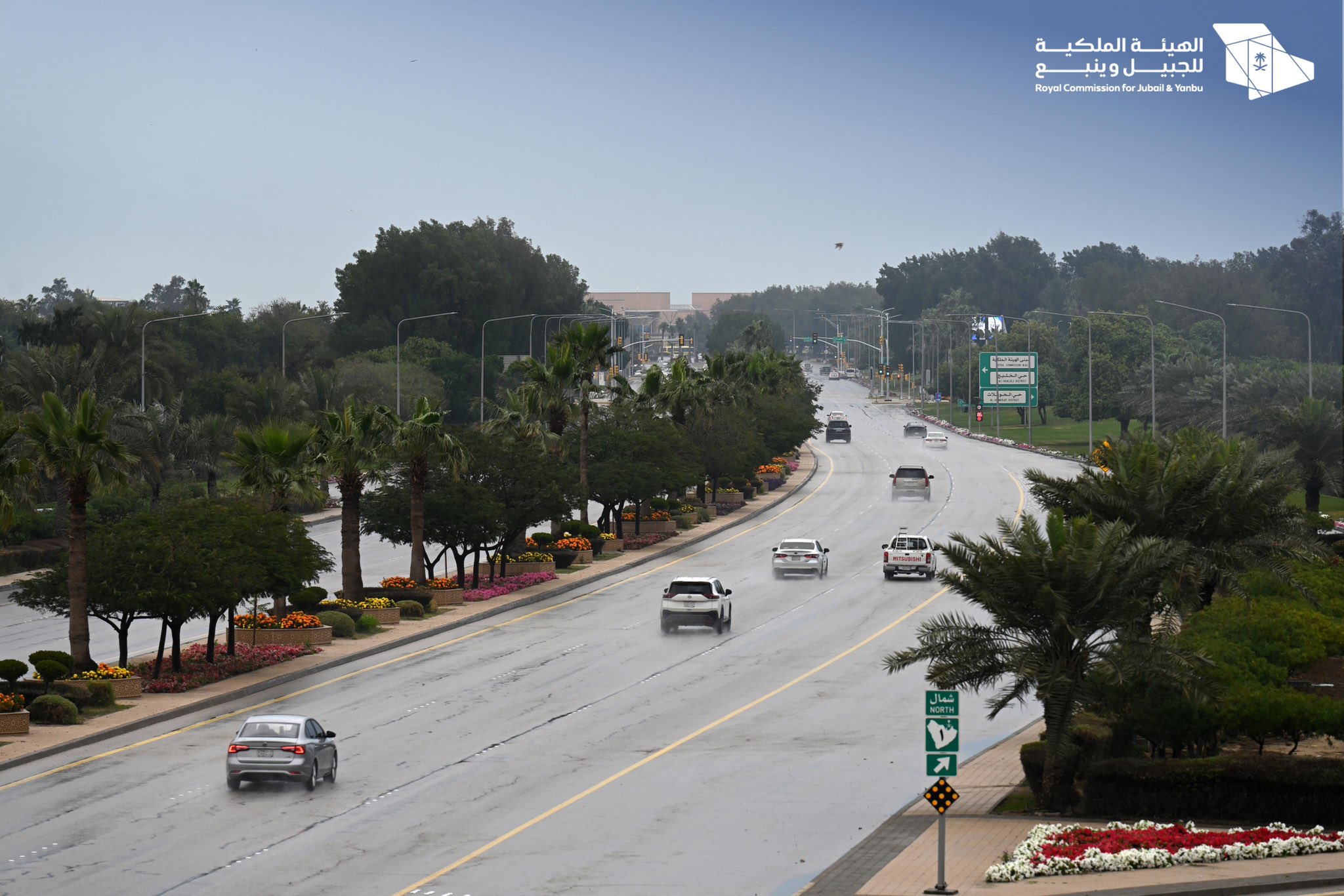 الصورة