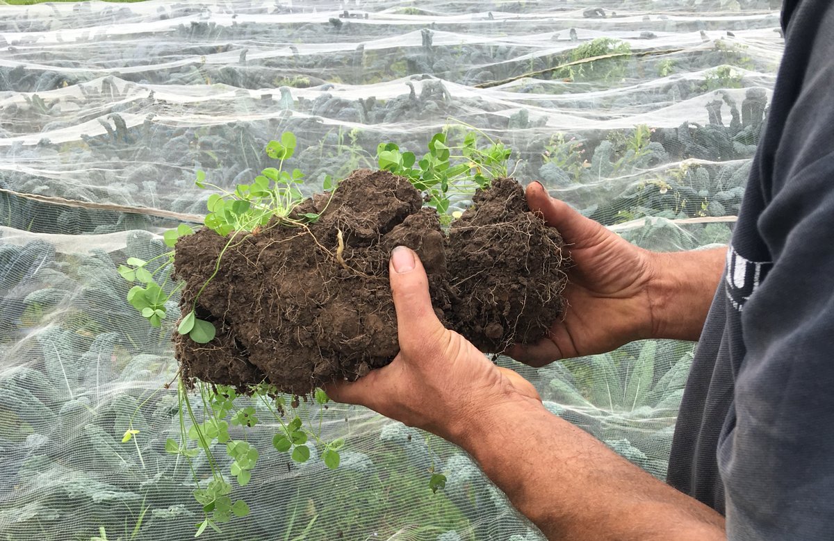 NouriSol tweet media