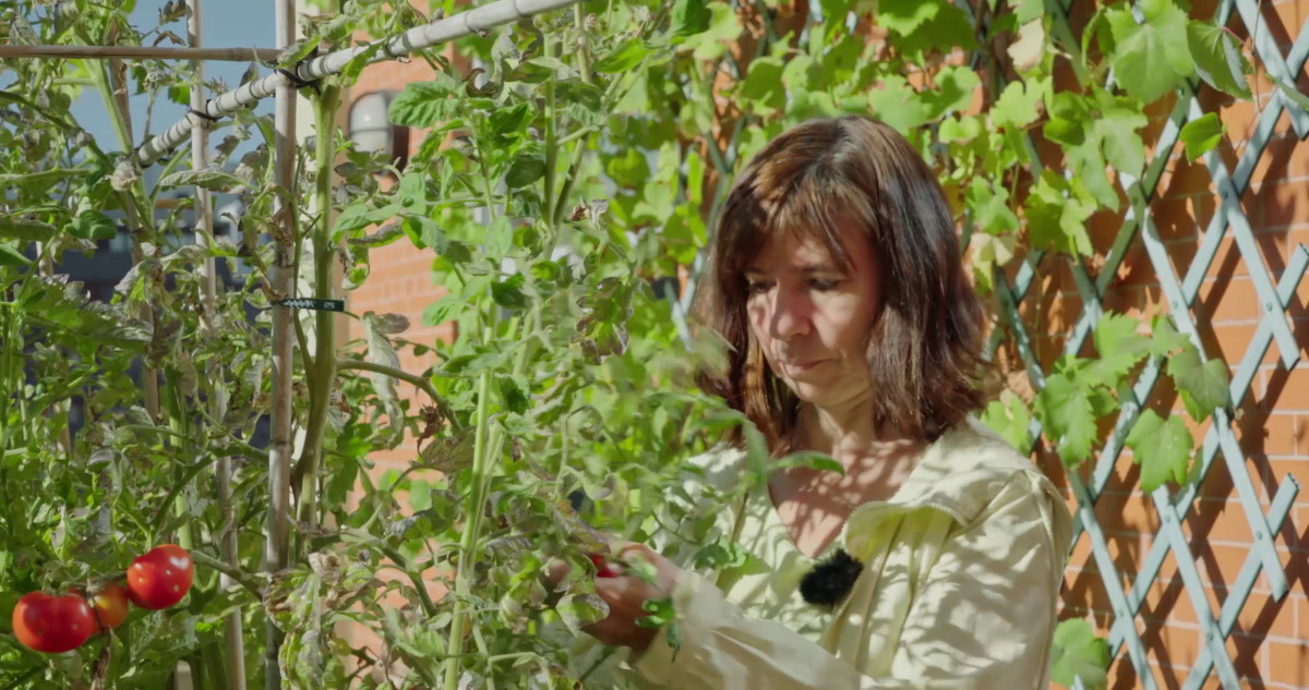 Coordinadora de ONGD de Euskadi tweet media