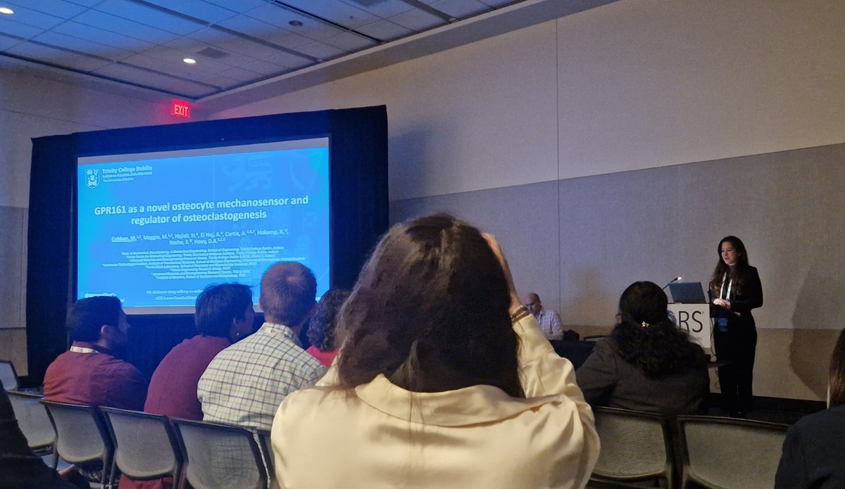 David Hoey tweet media