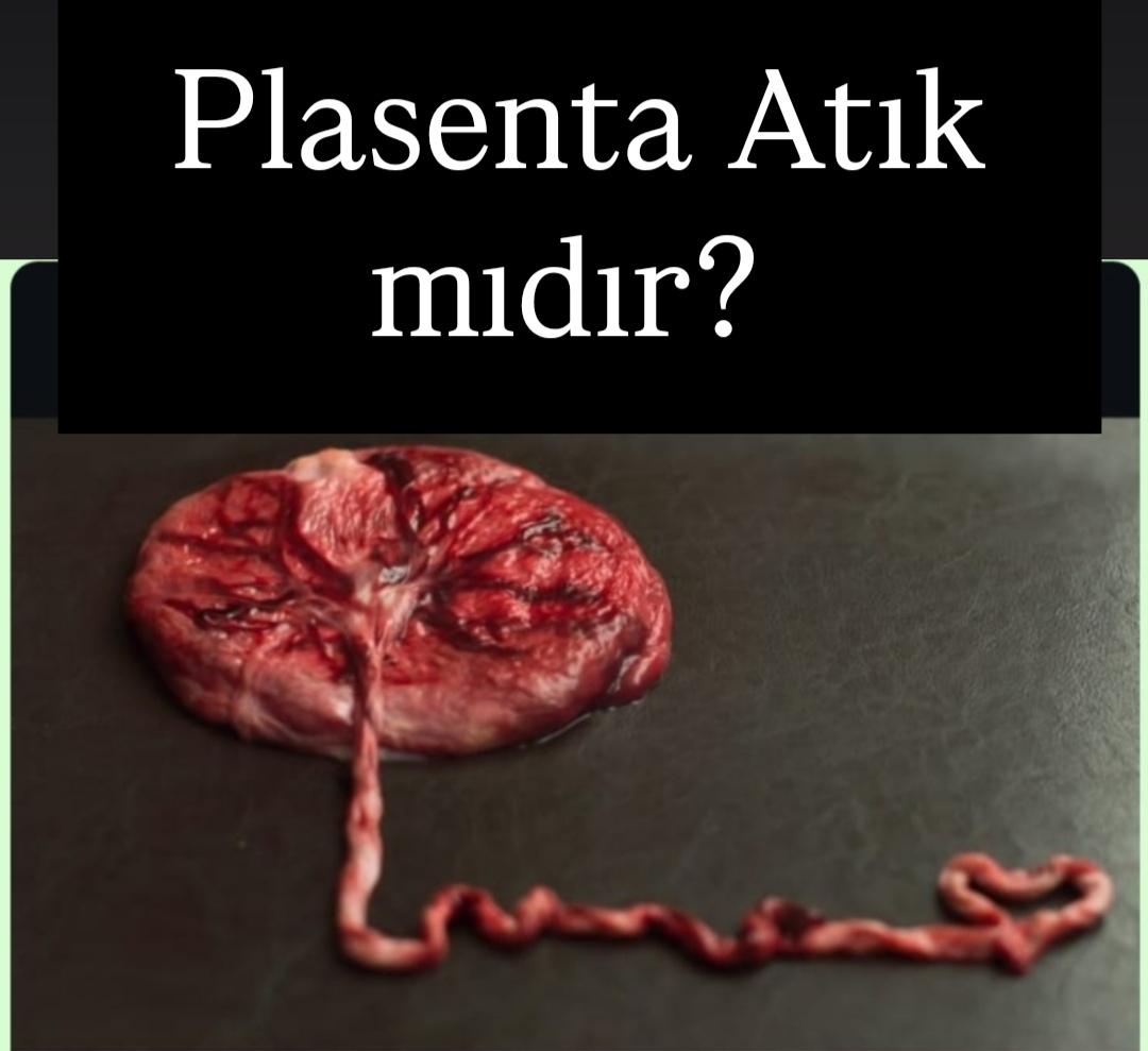 Çoğu anne bebeğin ilk koruyucusu, biyolojik bilgi hazinesi plasentanın neye benzediğini bilemez. Görmesine fırsat kalmadan tıbbı atık olarak atılmakta ya da hastanelerce kozmetik sektörüne krem, şampuan, ruj yapımı için satılmaktadır. Anti-trombotik ilaçlar yapmak için ilaç