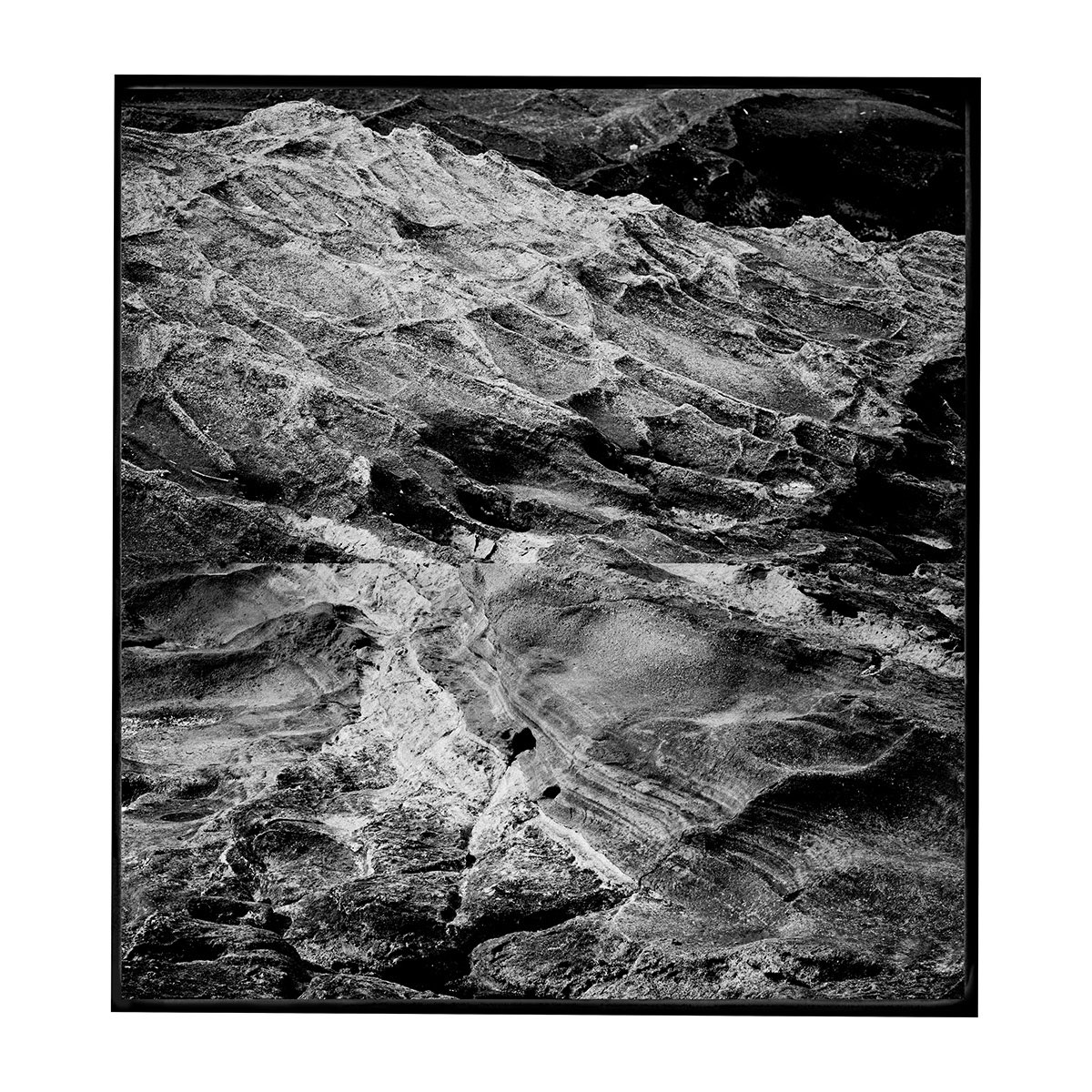 ホッシー tweet media