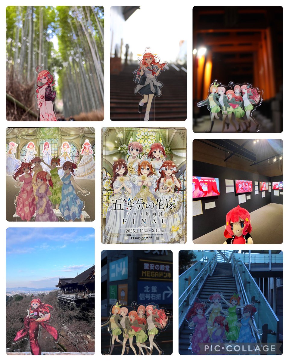 みこいと✨🍀 tweet media