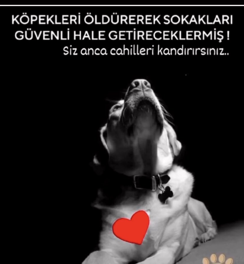 Kötülük hiç bir çağda bu kadar organize olmamıştır.