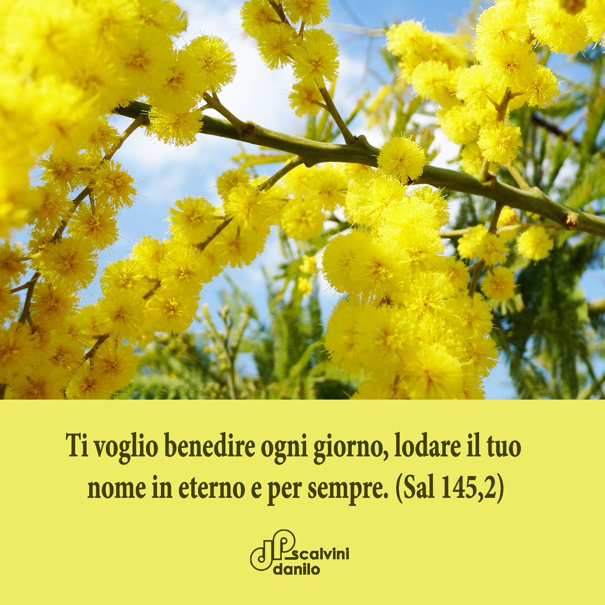 pDaniloScalvini's tweet photo. #versetti #versettibiblici #bibbia https://t.co/TperyCnzpA