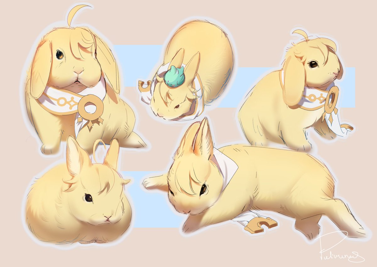 Tabibito Bunny 🐇

#genshinimpact #Aether