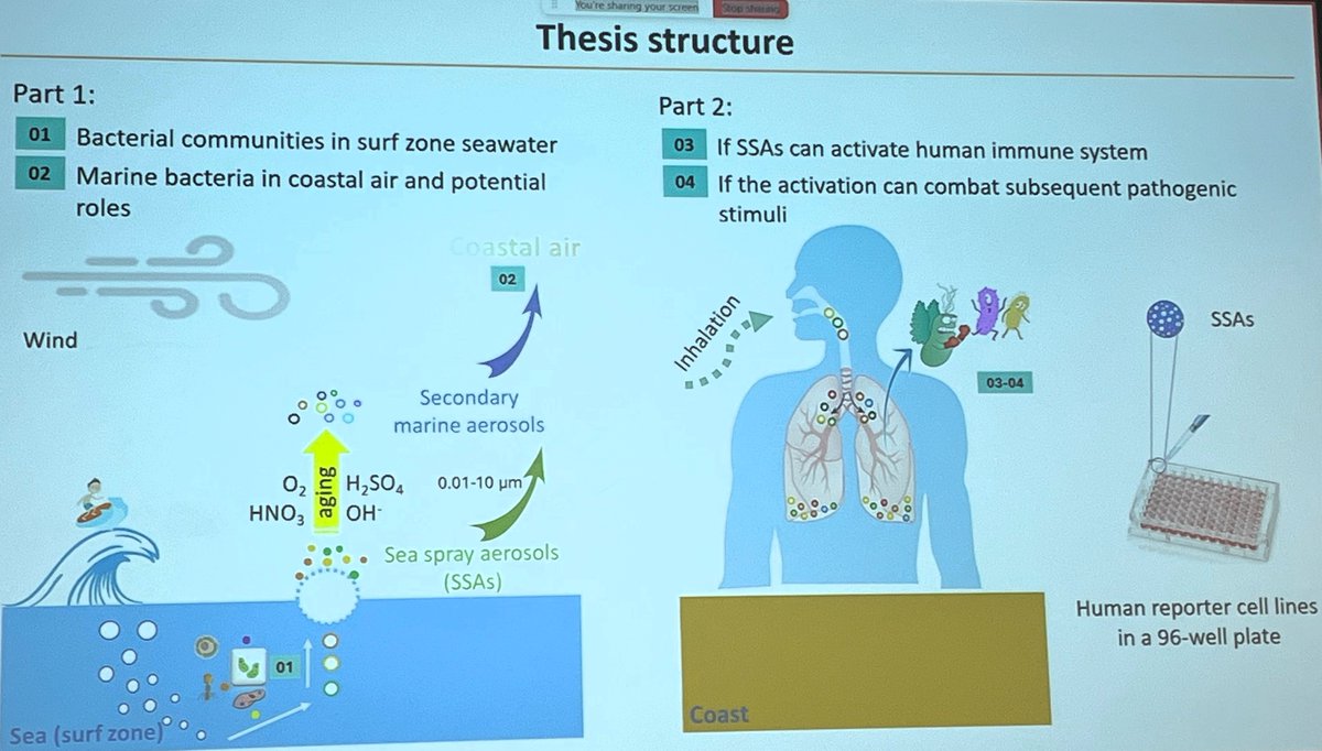 Jan Mees (@jmeesvliz) on Twitter photo Another successful PhD defence at <a href="/VLIZnews/">Flanders Marine Institute - VLIZ</a>. Congratulations Dr Yunmeng Li who studied marine bacteria in sea spray aerosols and their potential immunological effects on human health <a href="/jaasselm/">Jana Asselman @janaasselman.bsky.social</a> <a href="/SarahLebeer/">Sarah Lebeer</a> <a href="/MarineAtUGent/">Marine@UGent</a> <a href="/BirUantwerpen/">Bioscience Engineering@University of Antwerp</a> Another successful PhD defence at <a href="/VLIZnews/">Flanders Marine Institute - VLIZ</a>. Congratulations Dr Yunmeng Li who studied marine bacteria in sea spray aerosols and their potential immunological effects on human health <a href="/jaasselm/">Jana Asselman @janaasselman.bsky.social</a> <a href="/SarahLebeer/">Sarah Lebeer</a> <a href="/MarineAtUGent/">Marine@UGent</a> <a href="/BirUantwerpen/">Bioscience Engineering@University of Antwerp</a>