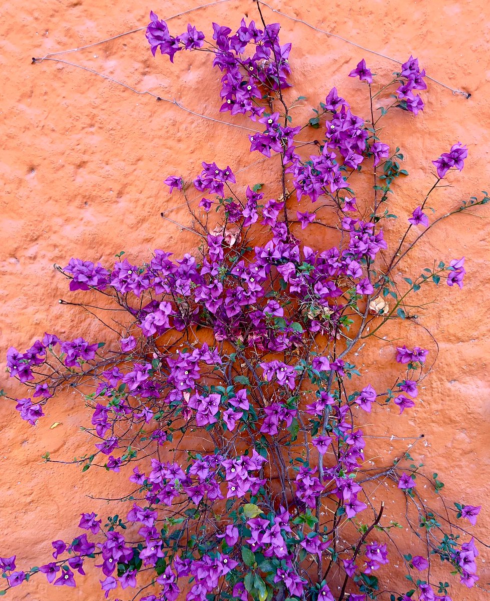 Voor een bekend NLs tijdschrift zoek ik drie vrouwen tussen de 58 en 80 jaar van Italiaanse afkomst. Die willen vertellen over Italië, wat ze missen, hoe het verschilt met NL etc. Telefonisch interview en mooie fotoshoot. Ben of ken je zo iemand? Hoor graag! Delen is fijn.
