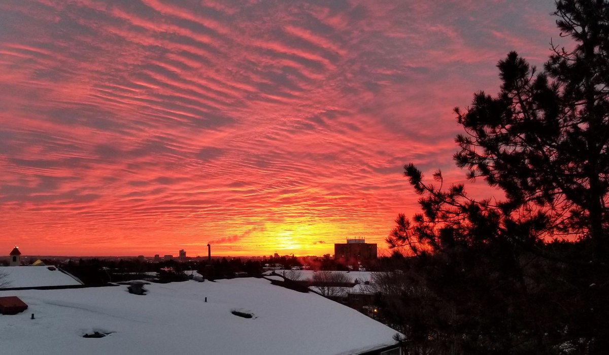 Daniel L Little tweet media