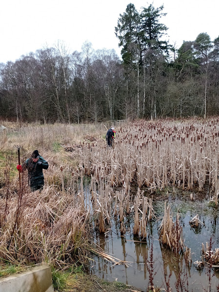 BDS Scotland tweet media