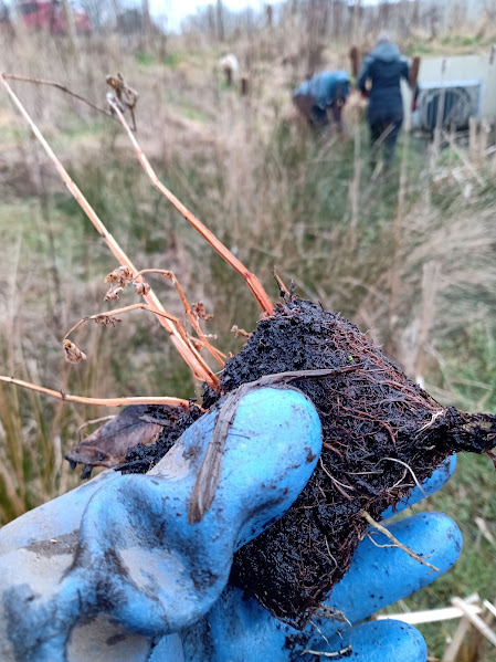 BDS Scotland tweet media