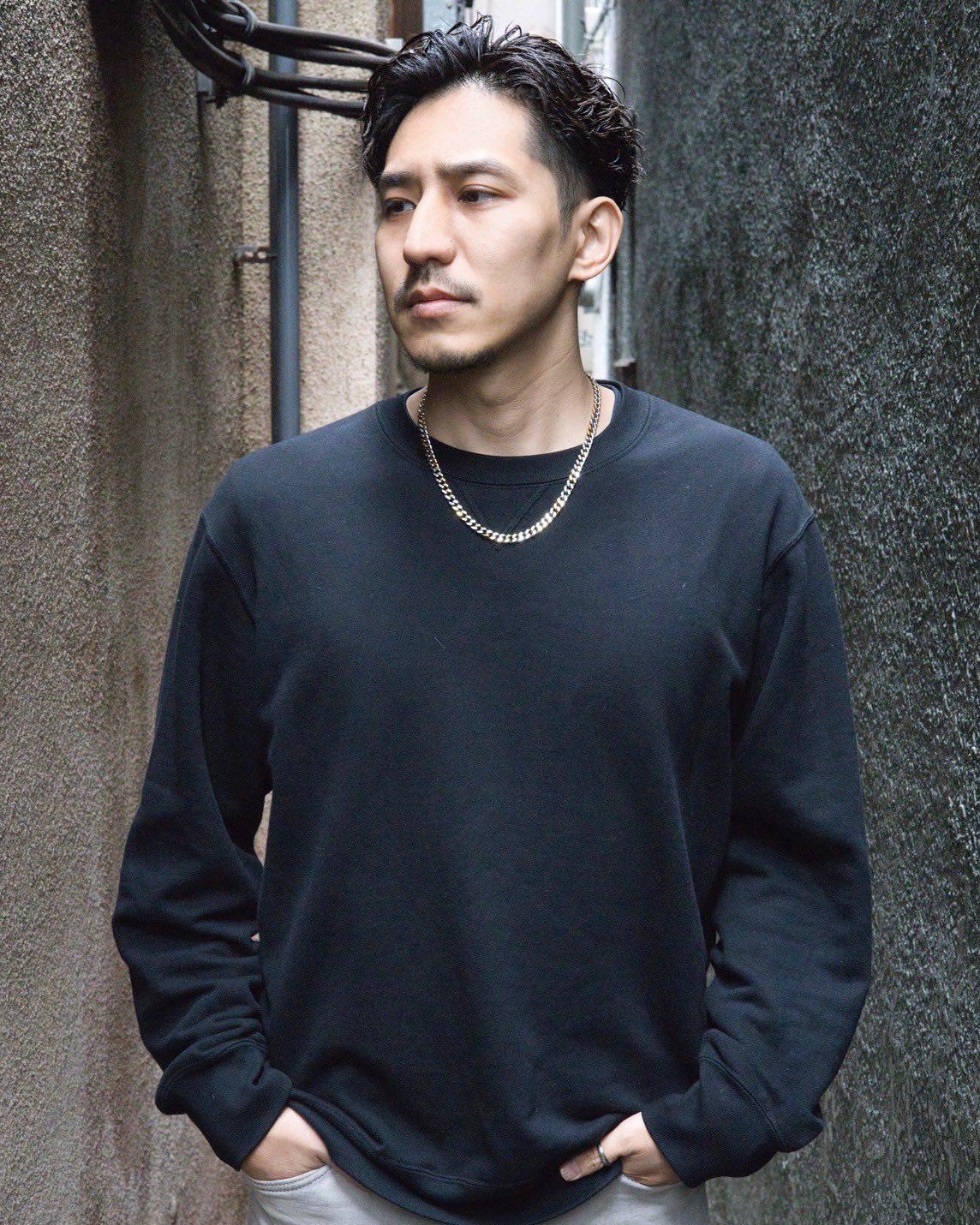 長谷川樣專用 セレガードds-i レゾナック建材 昭和電工 25kg袋 ケイ酸質系