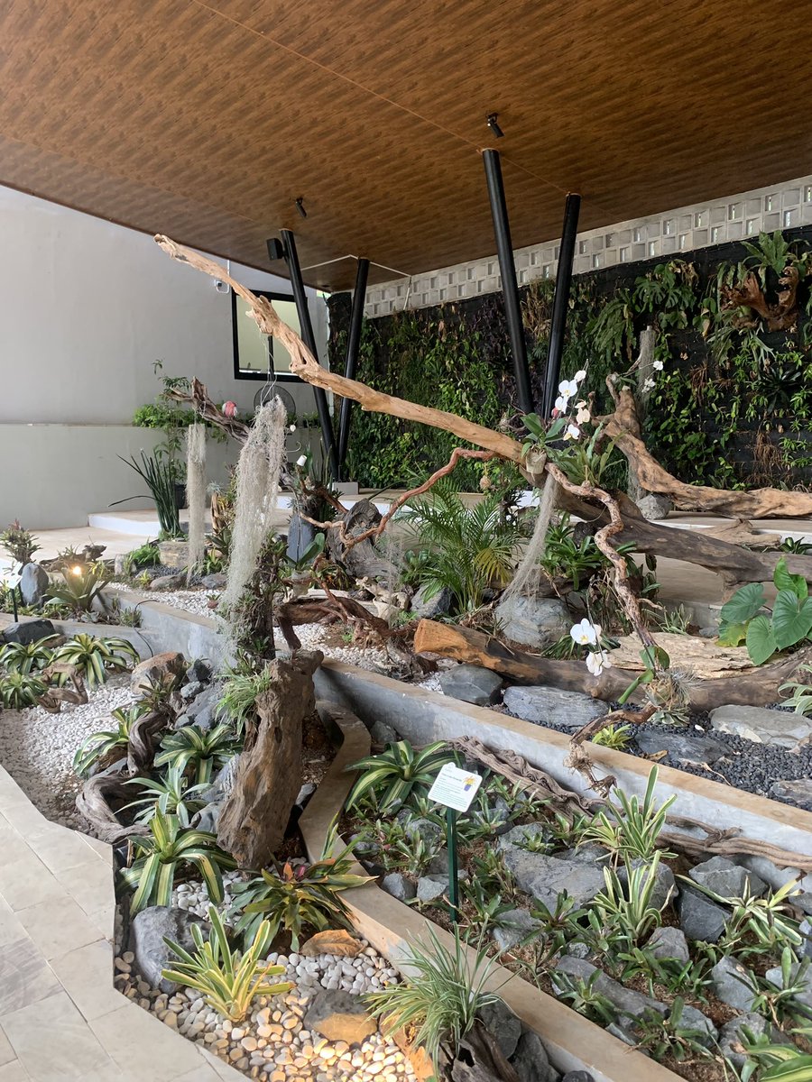 awkittybae's tweet photo. habitat park scbd

bagus tapi ternyata kecil yaa tempat nya, ga seluas yang di tiktok, menurut ku 7/10 si https://t.co/VX53ciALt3