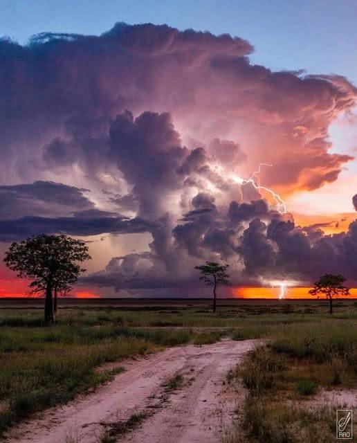 The unrestrained vastness of an outback landscape of NW Australia out from Derby.
sourced: Australian Outback Photography