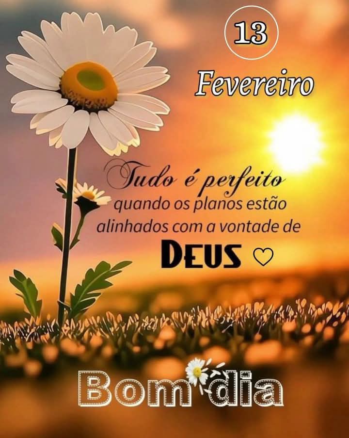 Gilcélia⚘ tweet media