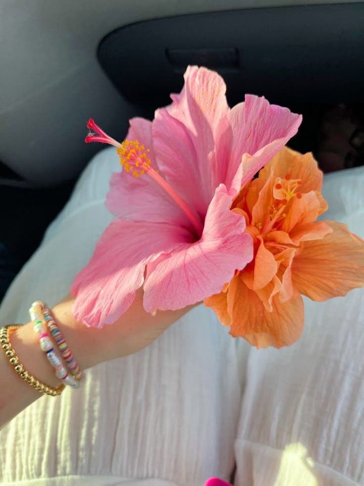 XLIX_409's tweet image. 