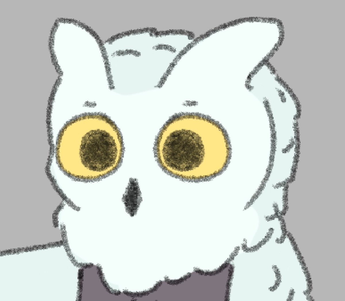 DreamingInMind's tweet photo. hoot hoot https://t.co/qorw39ljmx
