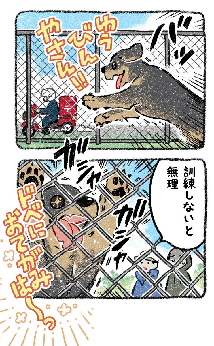yosimofurou's tweet photo. 犬の学校に行った話⑨
#全ての人類が自分に会いに来たと思ってる
#漫画が読めるハッシュタグ https://t.co/bohXbOtnJy