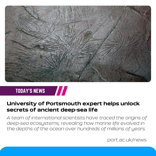University of Portsmouth (@portsmouthuni) on Twitter photo Dr Nic Minter from <a href="/UoPScience/">UoP Faculty of Science & Health</a> was part of the team that analysed trace fossils - evidence left behind by ancient creatures in sedimentary rock.
Find out more about the study:
port.ac.uk/news-events-an…
#PortsmouthUni #Fossils <a href="/usask/">U of Saskatchewan</a> Dr Nic Minter from <a href="/UoPScience/">UoP Faculty of Science & Health</a> was part of the team that analysed trace fossils - evidence left behind by ancient creatures in sedimentary rock.
Find out more about the study:
port.ac.uk/news-events-an…
#PortsmouthUni #Fossils <a href="/usask/">U of Saskatchewan</a>