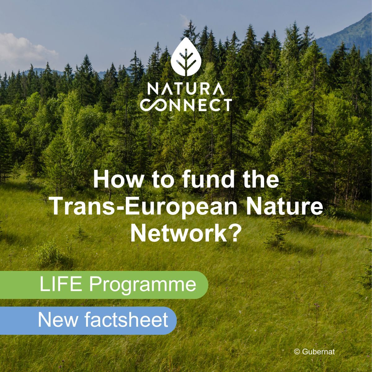 NaturaConnect (@naturaconnect) on Twitter photo 🌿 Discover how <a href="/LIFEProgramme/">LIFE Programme</a> supports strengthening Europe’s protected areas and ecological connectivity with funding for nature and climate action.
Check out our new factsheet to learn more: buff.ly/3EBuqWo
#NaturaConnect 🌿 Discover how <a href="/LIFEProgramme/">LIFE Programme</a> supports strengthening Europe’s protected areas and ecological connectivity with funding for nature and climate action.
Check out our new factsheet to learn more: buff.ly/3EBuqWo
#NaturaConnect