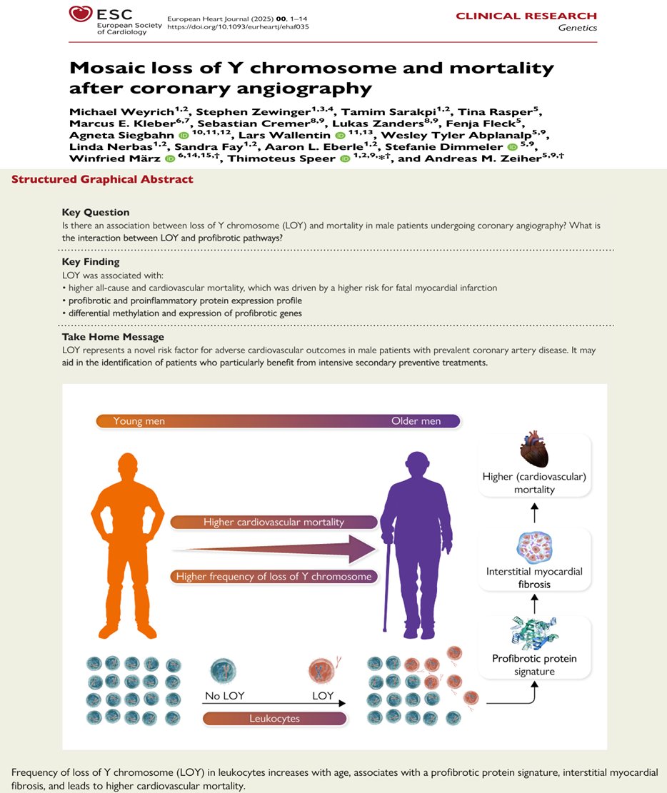 Andreas Zeiher (@andreaszeiher) on Twitter photo Another piece of evidence that loss of Y chromosome affects CVD risk in men 😀🍀 special thx to our fantastic collaborators, specificlly nephrologist T. Speer 📷<a href="/dzhk_germany/">DZHK Germany</a>
<a href="/StefanieDimmel1/">Stefanie Dimmeler</a>
<a href="/CPI_ExStra/">CPI</a>
<a href="/ERC_Research/">European Research Council (ERC)</a>
<a href="/DrFlashHeart/">Caitlyn Vlasschaert</a>
<a href="/LarsForsberg/">Lars Forsberg</a>
#EHJ 👉bit.ly/4aU5upd Another piece of evidence that loss of Y chromosome affects CVD risk in men 😀🍀 special thx to our fantastic collaborators, specificlly nephrologist T. Speer 📷<a href="/dzhk_germany/">DZHK Germany</a>
<a href="/StefanieDimmel1/">Stefanie Dimmeler</a>
<a href="/CPI_ExStra/">CPI</a>
<a href="/ERC_Research/">European Research Council (ERC)</a>
<a href="/DrFlashHeart/">Caitlyn Vlasschaert</a>
<a href="/LarsForsberg/">Lars Forsberg</a>
#EHJ 👉bit.ly/4aU5upd