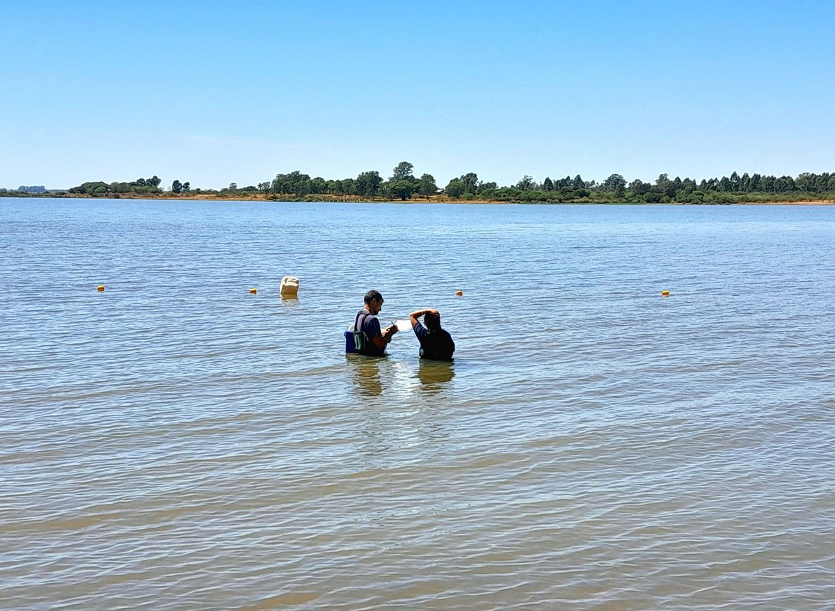federacionmuni's tweet photo. En tal sentido, profesionales de la CARU constataron esta semana que en la costa de Federación no se detectaron Cianobacterias, por lo que el lago se encuentra en condiciones para su uso recreativo.
Además, los técnicos tomaron muestras para realizar los estudios microbiológicos https://t.co/Kn2Gbn012s