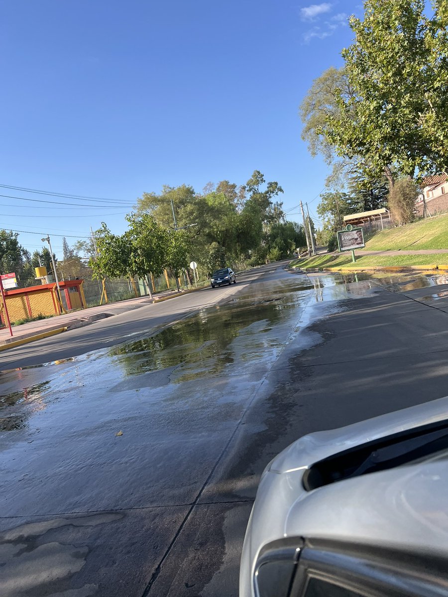 NDomingoo's tweet photo. Mínimo dos meses de la laguna artificial en la rotonda de calle Perito Moreno, entre Soldado Baigorria y Dario de Godoy Cruz. @MATIPASCUALETTI @AguasMendocinas @canal7mza @Canal9Televida https://t.co/NyExcQqb0N
