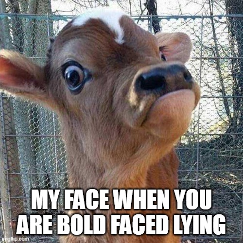 BovitoCoin's tweet photo. My face when someone says BovitoCoin won't take off... 🐄💸
#Solana #Bovitocoin #memecoin https://t.co/h6vtjowSCz