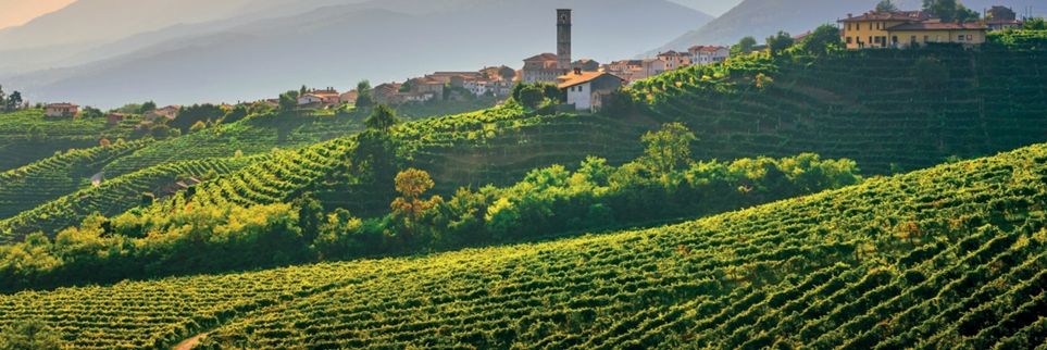 VineyardMagGB's tweet image. ✂️ Pruning: The backbone of great vines!
Whether winter or summer, Laura Hadland (@Morrighani) says heavy pruning often leads to better fruiting. 🍇✨
Cut to the details on page 30, February edition of #VineyardMagazine 
#VineyardLife #PruningTips #InnovationInWine