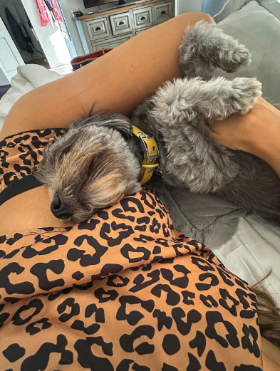 My Valentine 💘
#DogLife #doglovers #dogloversunite #ValentinesDay