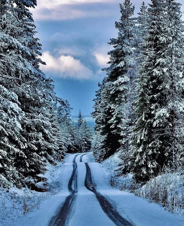 AglloMuniz's tweet image. #February13