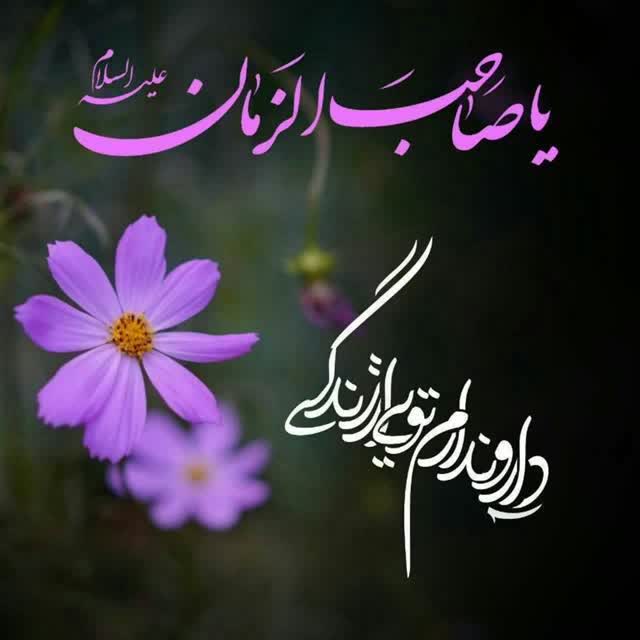 saga_plas's tweet photo. 🍃 یادمان نرود بهترین زمان برای انجام کار مهدوی، زمان کنونی(عصر غیبت) است؛ نه زمان ظهور که زمان فتح و پیروزی است...
#تا_انقلاب_مهدی
#the_savior https://t.co/ewOChMMjh8