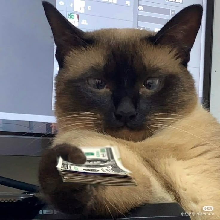 Animados para amanhã?