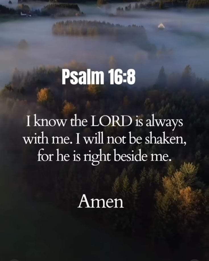 Happy Thursday, family