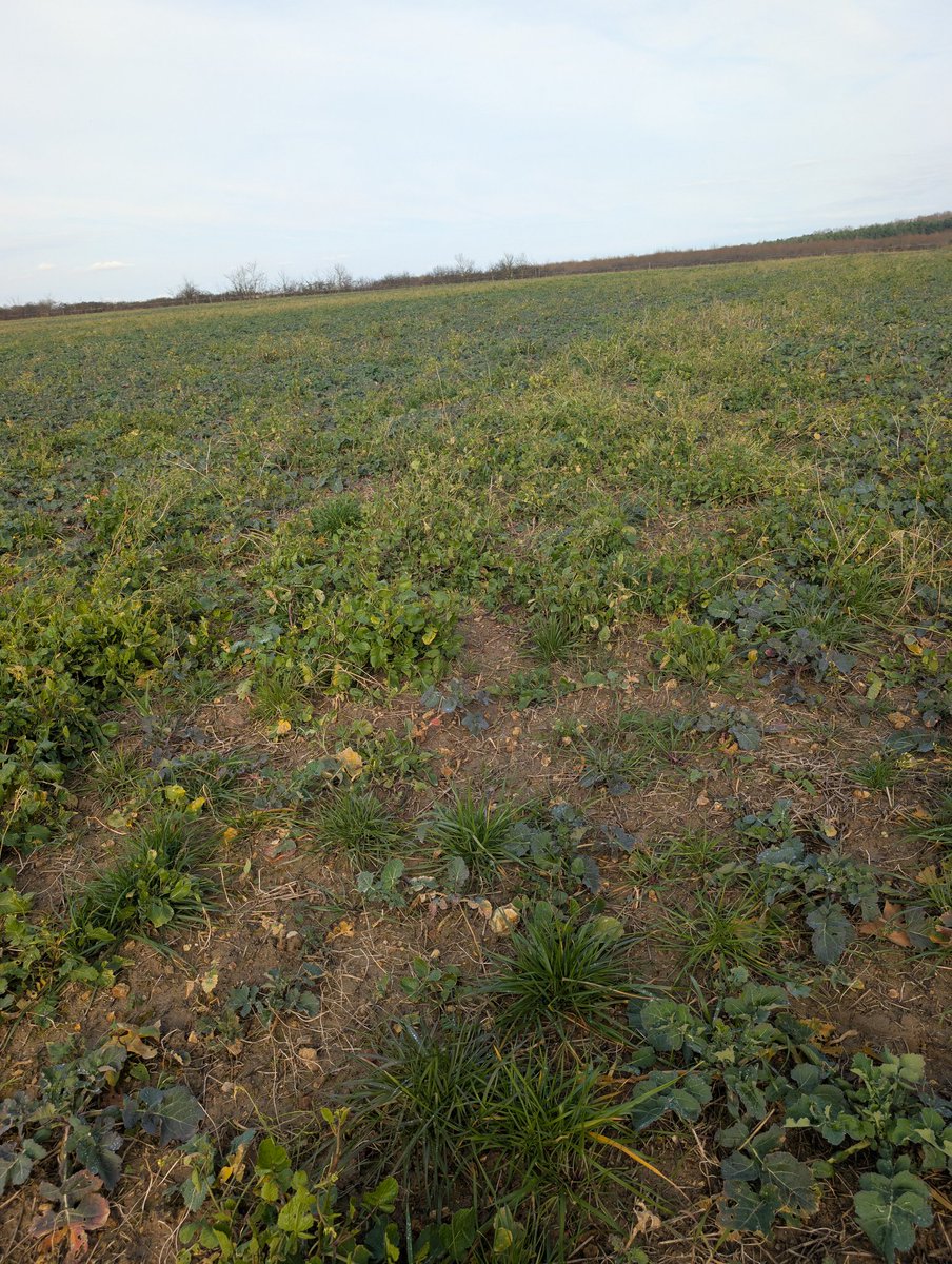 Astrid MORDON tweet media