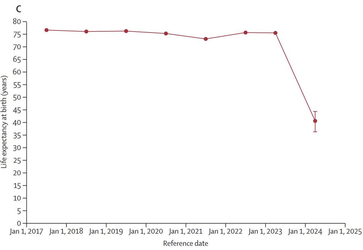 Diese Grafik zeigt die Lebenserwartung in #Gaza, wie sie seit Oktober 2023 innerhalb eines Jahres um fast die Hälfte gefallen ist. Apokalyptisch. 
Quelle: thelancet.com/journals/lance…