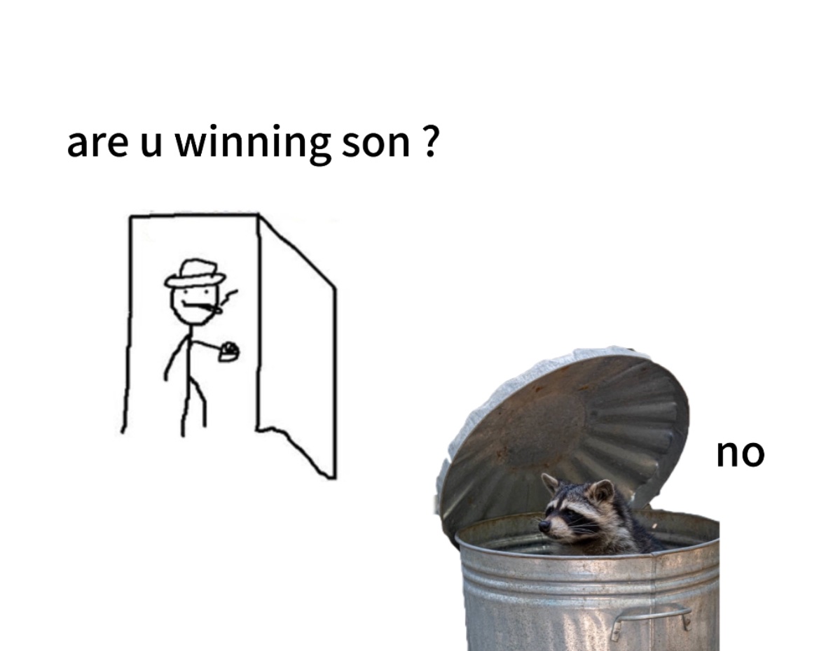 Why you should have a Raccoon (@shouldhaveracc) on Twitter photo 