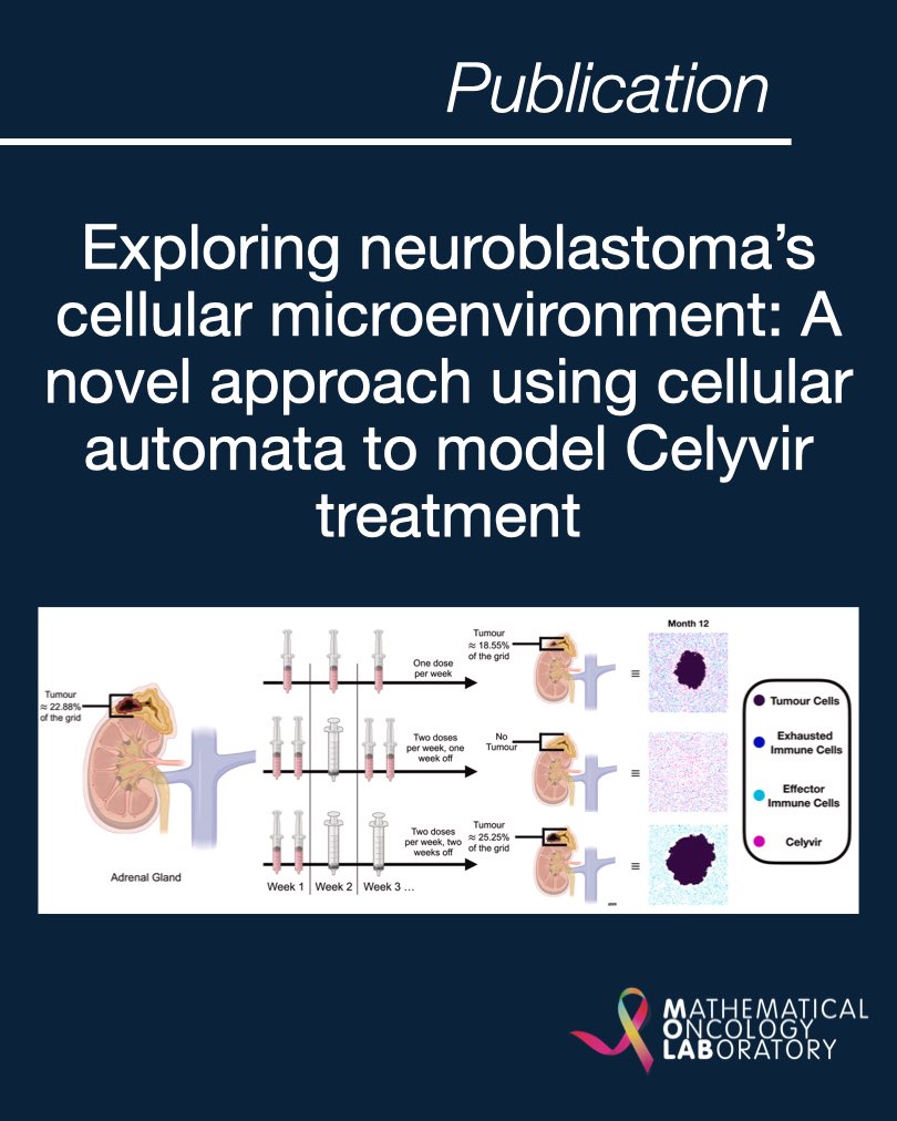 📢📝 New paper available!

Neuroblastoma is an aggressive cancer in children. This study explores Celyvir using a cellular automata model to identify effective treatment strategies. 🧬📊

The article is FREE to download until April 3rd! 👉 kwnsfk27.r.eu-west-1.awstrack.me/L0/https:%2F%2…