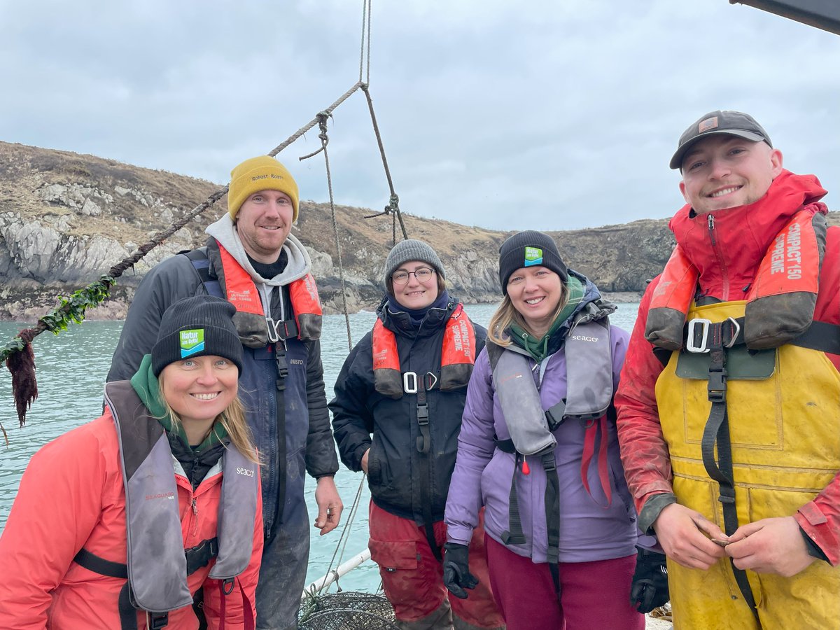 Pembrokeshire Marine Wildlife tweet media