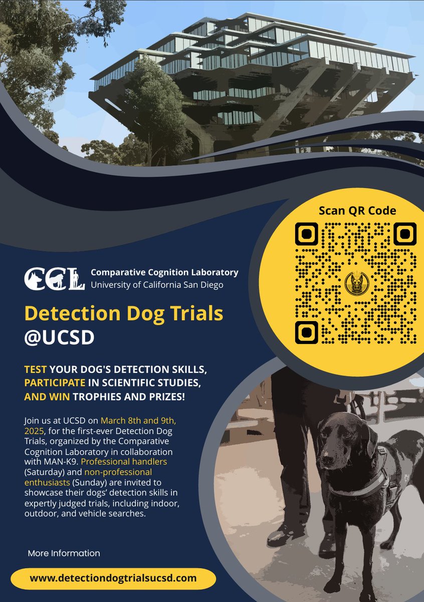 CCLABUCSD's tweet image. ‼️The CCL at UCSD is hosting the first-ever Detection Dog Trials in collaboration with MAN-K9! Join us March 8-9th to compete for trophies & prizes, contribute to scientific research, and showcase your dog’s scent detection skills!
Learn more & register: detectiondogtrialsucsd.com