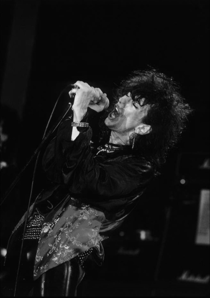 Schnitzel63's tweet image. Stiv Bators  , Lords Of the New Church
