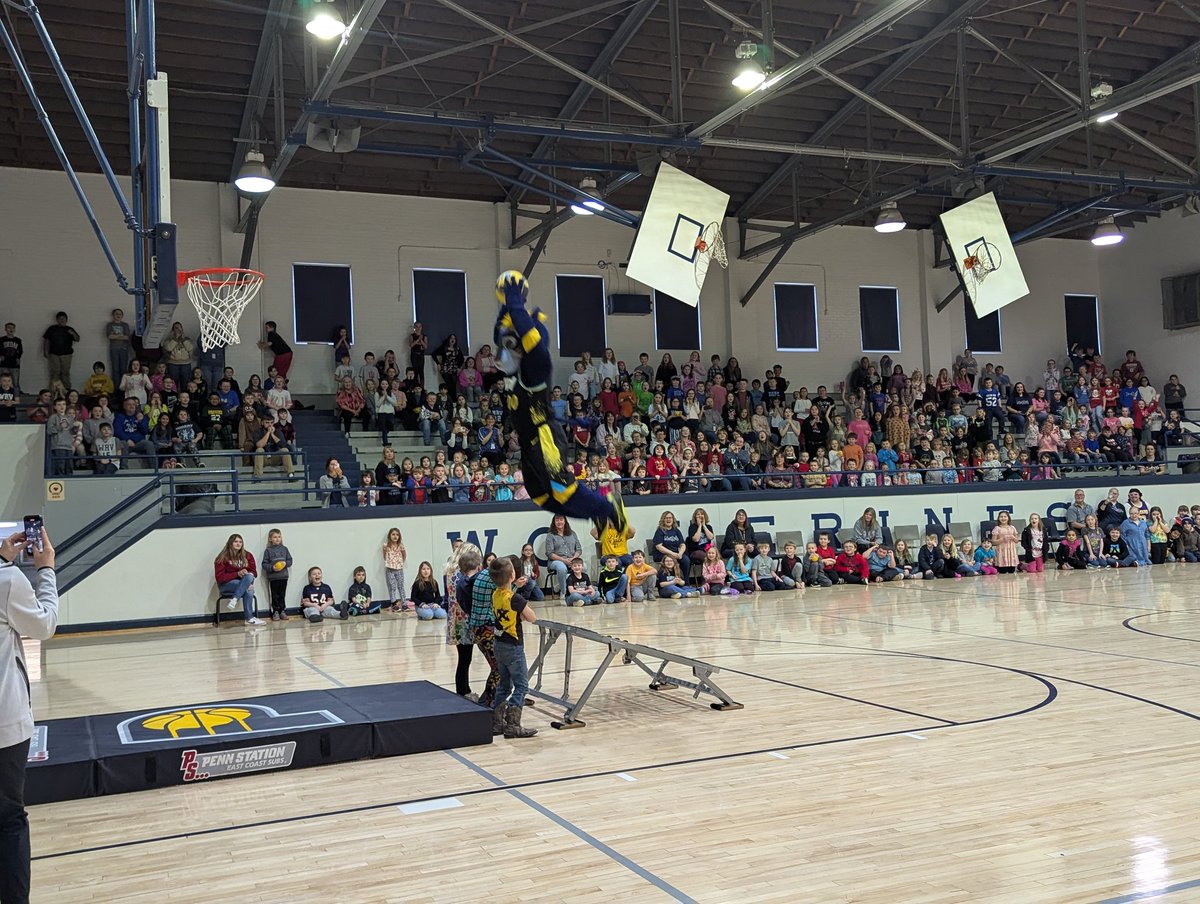 Trey Showalter tweet media