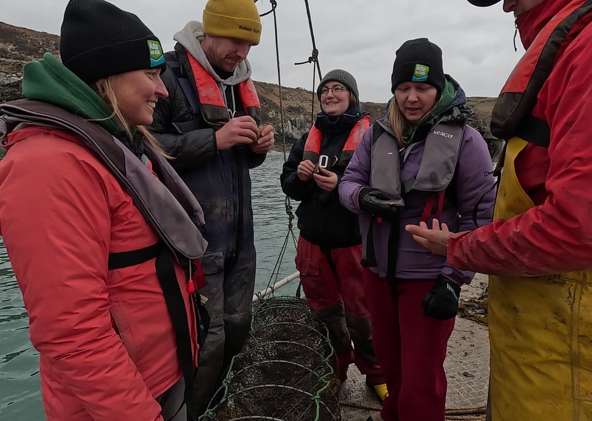 Pembrokeshire Marine Wildlife tweet media