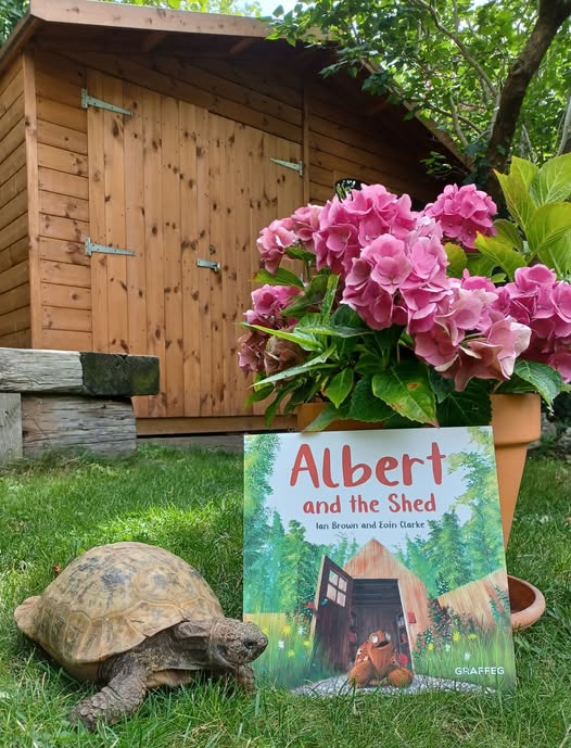AlbertTortoise's tweet photo. Flowers for #ValentinesDay ... plus a posing #ALBERTthetortoise with #picturebook ALBERT AND THE SHED. #AvailableNow with 7 more ALBERT picturebooks, 3 #BoardBooks &amp; #ActivityBook https://t.co/sGYhBlGs7n
#love #booklove #tortoiselove #shed #garden #bookseries #storytime #books https://t.co/sFztGGHAwa